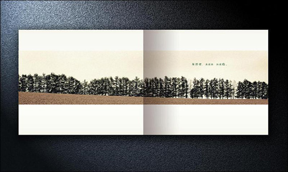 画册定制-蚂蚁印