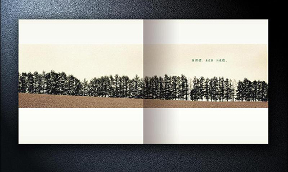 画册定制-蚂蚁印