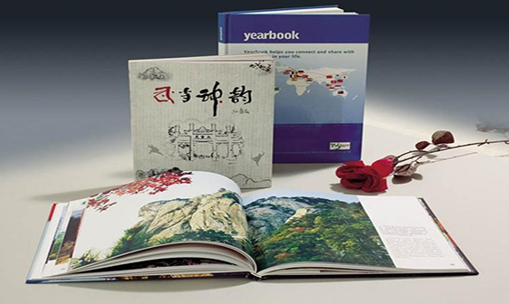 画册定制-蚂蚁印