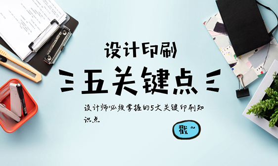 画册定制-蚂蚁印